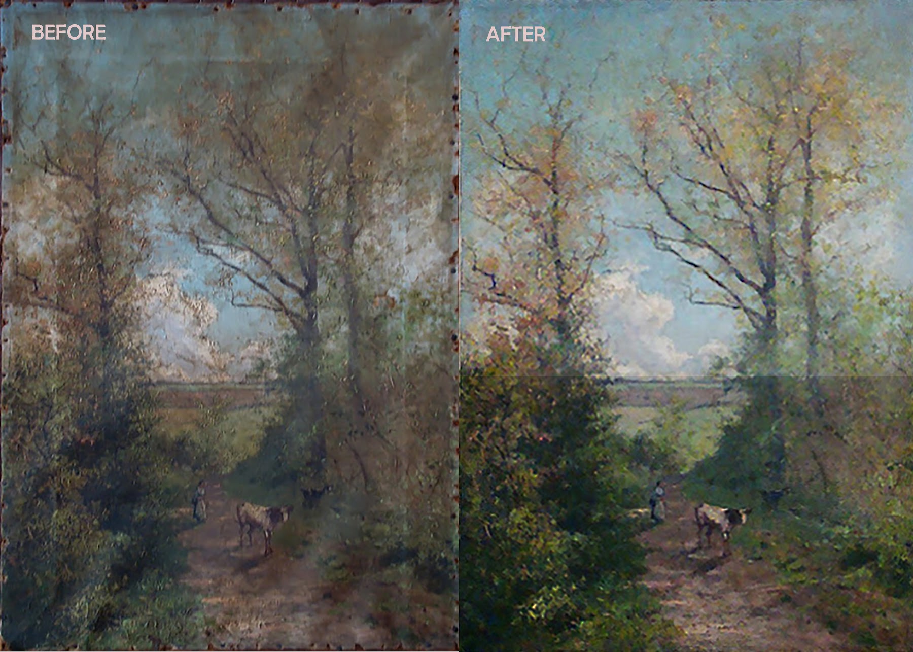 Before and after conservation of a landscape painting with cattle — darkened surface before, clear sky and green foliage after